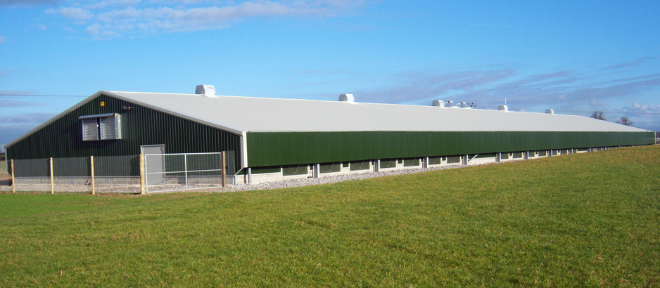 Poultry Farm House Design poultry-farm-house-design
